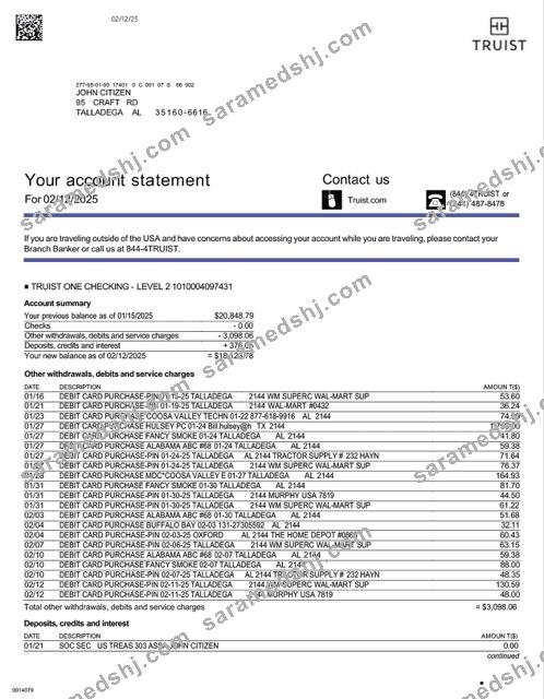 USA Truist Bank account statement Word and PDF template